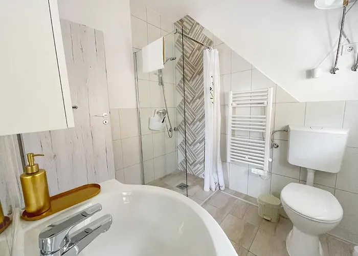 Zen House Adult Only 16plus