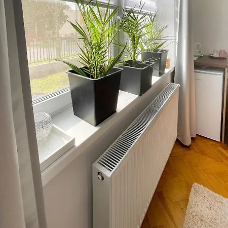 Zen House Bed & Breakfast Hajduszoboszlo